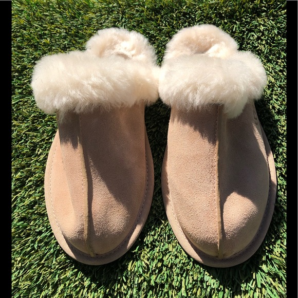ugg scuffette ii fawn